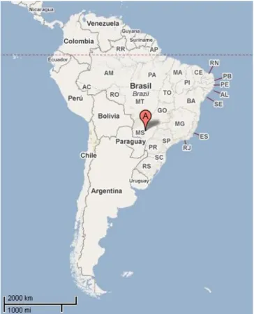 Figura 4  Mapa de da América do Sul, em destaque o Estado de Mato Grosso do  Sul (maps.google.com.br)