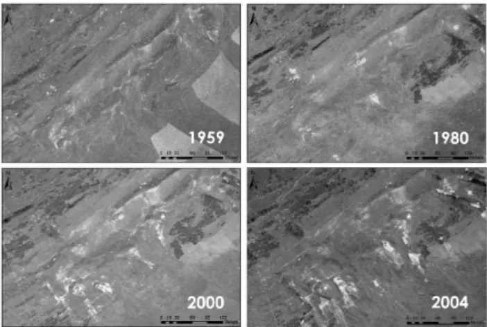 Fig. 3. Sub-images of air photographs showing the stages of land- land-slide hazard for the years 1959, 1980, 2000, and 2004.