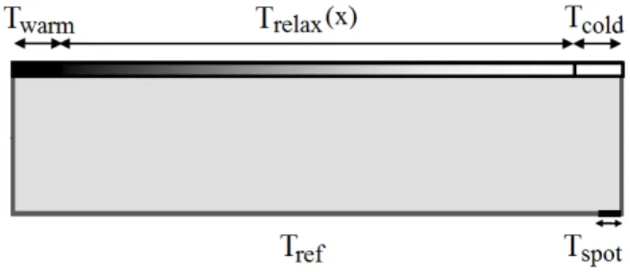 Fig. 1. The schematic drawing of the setup, with the domains where the different values of T relax were applied along the boundaries.