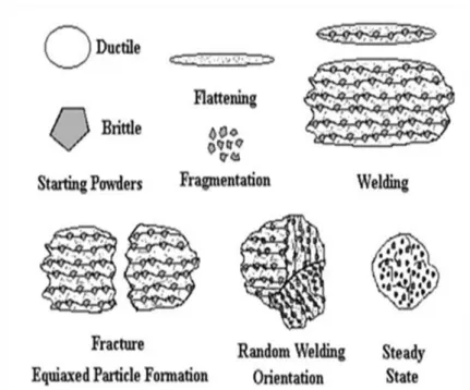 Fig. 5. The different stages of mechanical alloying in ductile-brittle system [21] 