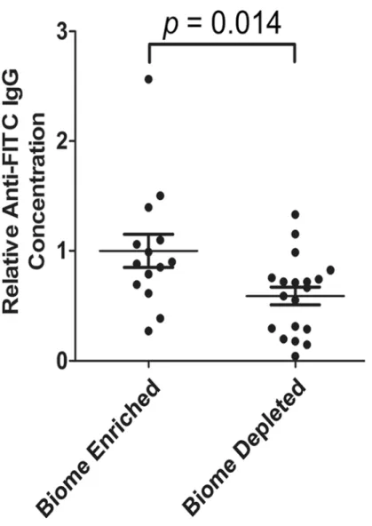 Fig 3. Relative concentration of FITC-specific IgG in the serum of biome depleted (n = 20) and biome enriched (n = 15) rats
