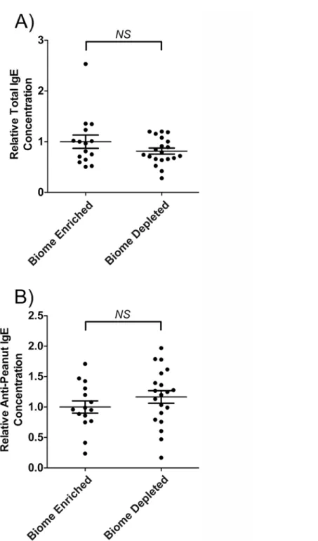 Fig 2. Relative concentration of IgE and of peanut-specific IgE in the serum of biome depleted (n = 20) and biome enriched (n = 15) rats following immunization