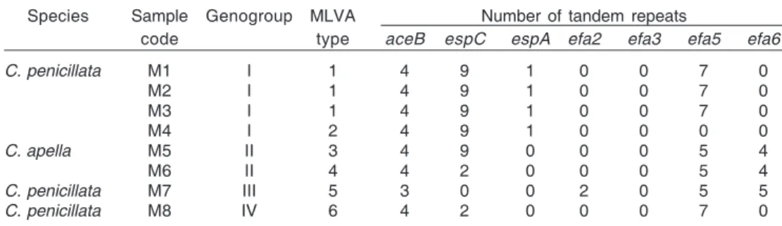 Table 3. Multilocus variable number of tandem repeat analysis polymorphism among the Enterococcus faecalis strains isolated from Callithrix penicillata and Cebus apella