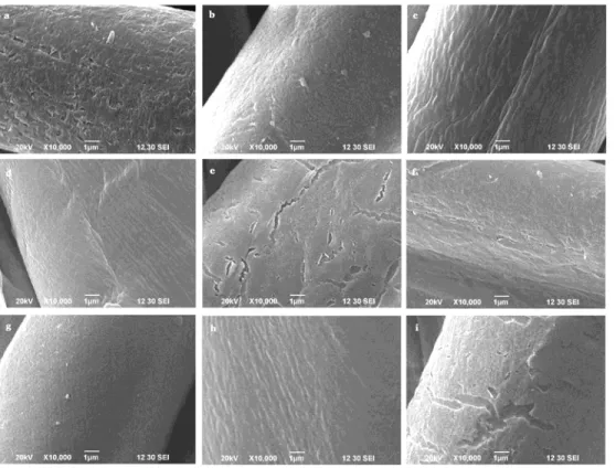 Fig. 5. SEM micrographs illustrate surface morphology of cotton fibres exposed to O 2