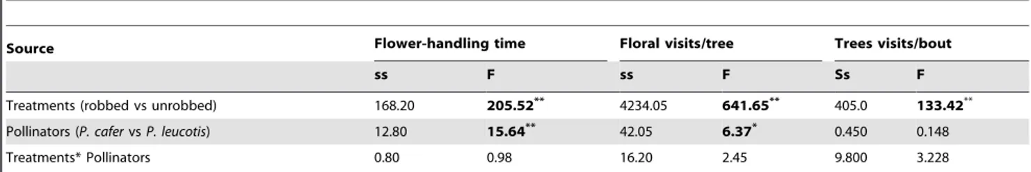 Table 3. Effect of experimental nectar robbing on pollinator behaviour in T. undulata.