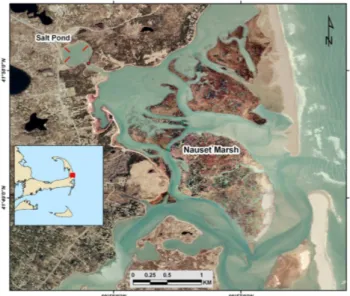 Fig. 1. Aerial photo of Salt Pond and Nauset Marsh system taken in April, 2001 (Office of Geographic and Environmental  Informa-tion (MassGIS), Commonwealth of Massachusetts Executive Office of Environmental Affairs) (Cape Cod location on inset)