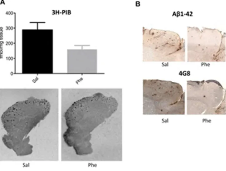 Figure 2. Modulation of amyloid-b (Ab) burden in 15- to 18-month-old Tg2576 mice treated with (+)-phenserine