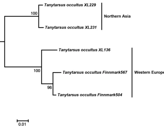 Fig 7. Neighbor joining subtree of Tanytarsus occultus. Numbers on branches represent bootstrap support ( > 70%) based on 500 replicates; scale represents K2P genetic distance.