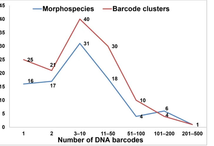 Fig 3. Number of DNA barcodes per morphospecies and barcode clusters based on the neighbor joining tree.