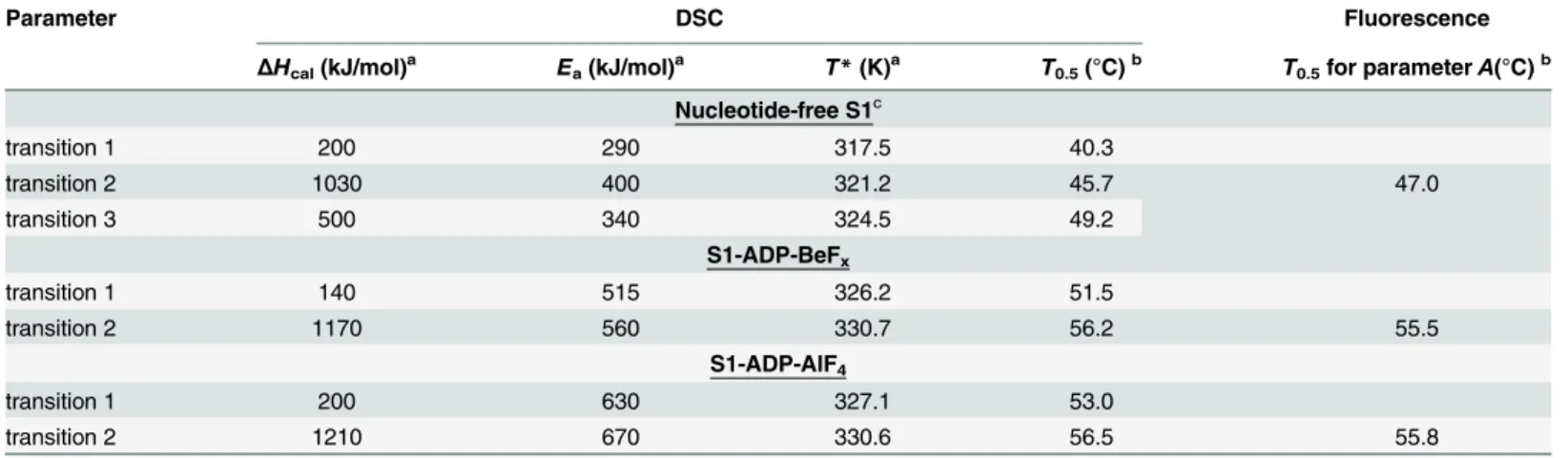 Table 1. The main parameters extracted from the DSC data for each thermal transition of S1 in the absence of added nucleotides and in the com- com-plexes S1-ADP-BeF x or S1-ADP-AlF 4 - ( Δ H cal , E a , T * , and T 0.5 ), as well as from temperature-induce