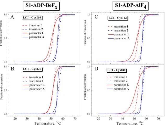 Fig 8. Representative temperature-induced changes in fluorescence for S1 in the complexes S1-ADP-BeF x (A,B) and S1-ADP-AlF 4 - (C,D) in comparison with fraction of conversion for the calorimetric transitions 1 and 2