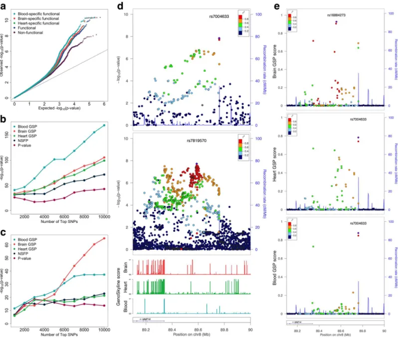 Fig 5. Prioritizing schizophrenia GWAS signals using GenoSkyline annotations. (a) Tissue-specific functional regions are more enriched of schizophrenia associations than generally functional regions and non-functional regions