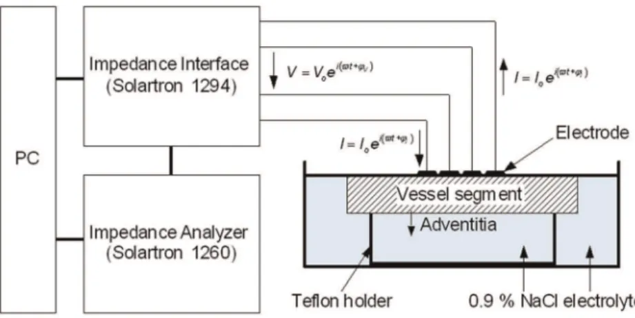 Figure 1. Experimental setup of the impedance measurement system.
