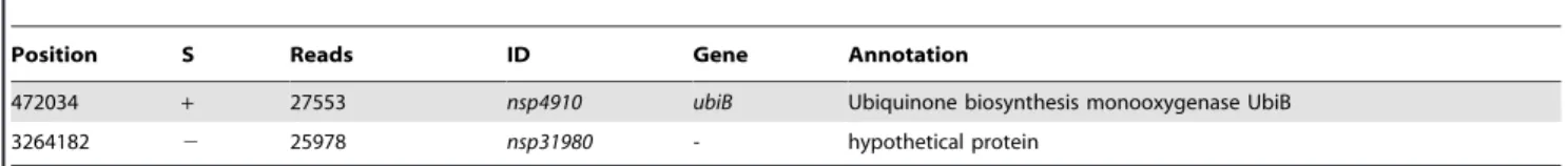 Table 3. Selected non-coding RNA elements mentioned in the text or ubiquitious among bacteria.