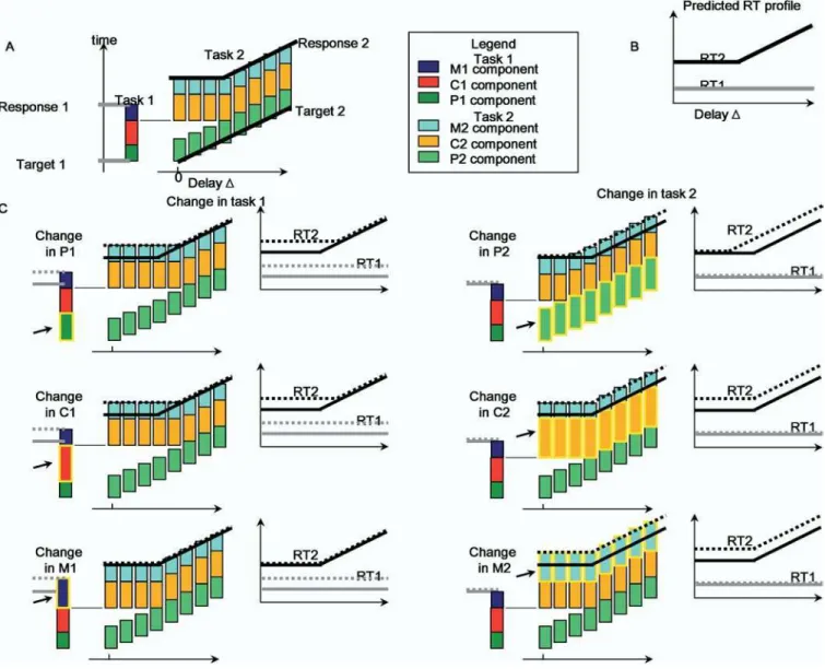 Figure 3. Description of the Task and Sketch of the PRP Model and Its Predictions