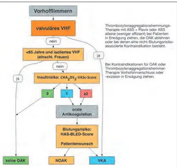 Tabelle 3: Der HAS-BLED-Score: Der Gesamtpunktescore dient der Risikostratifizierung bei VHF-Patienten hinsichtlich Blu- Blu-tungskomplikationen