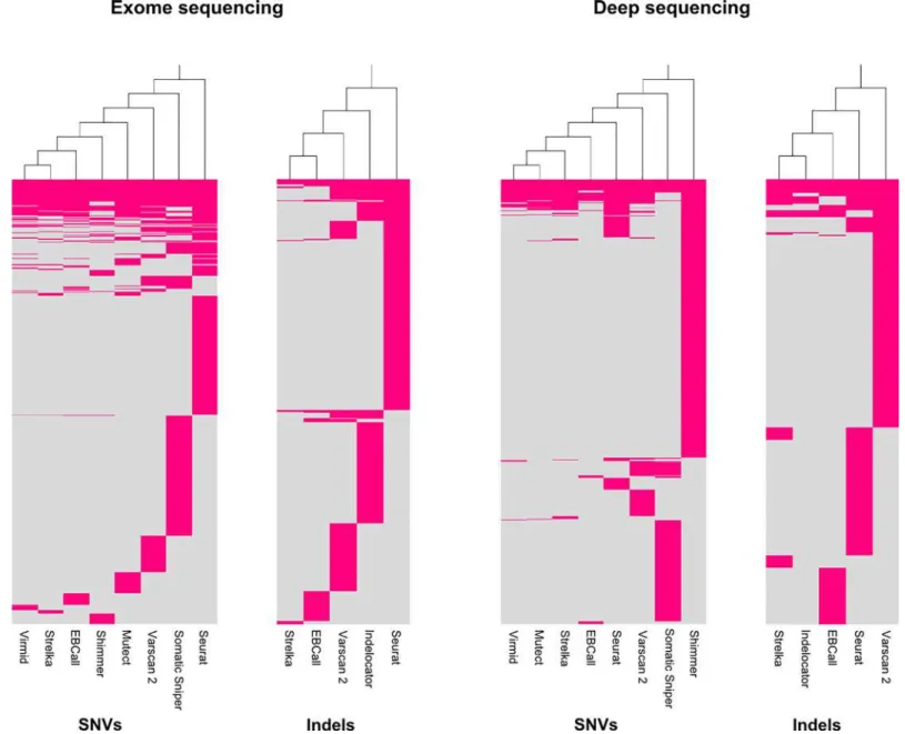 Fig 7. Calling patterns of the somatic variant callers. Hierarchical cluster analysis of mutations called by the somatic variant callers in exome and deep sequencing data in left and right panel, respectively