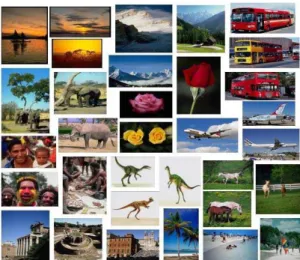 Fig 4.Sample Images from Generic Image Database 