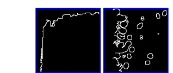 Fig. 5 Edge maps built from the accessibility maps in Fig. 4