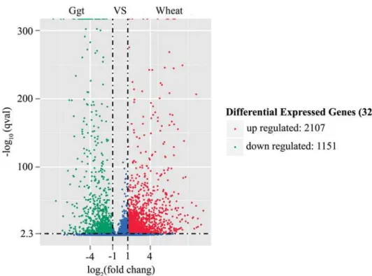 Table 3. Number of transcripts of Ggt culture and Ggt-infected wheat roots at different expression level intervals.