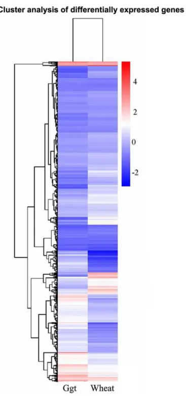 Fig 2. Hierarchical clustering analyses of DEGs. According to the two sample ’ s log10 (RPKM+1), red indicates high expression of the gene, blue indicates low expression of genes