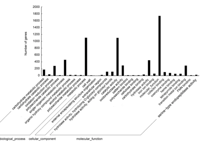 Fig 3. Functional annotation of DEGs based on gene ontology (GO) categorization. Each annotated sequence was assigned at least one GO term.