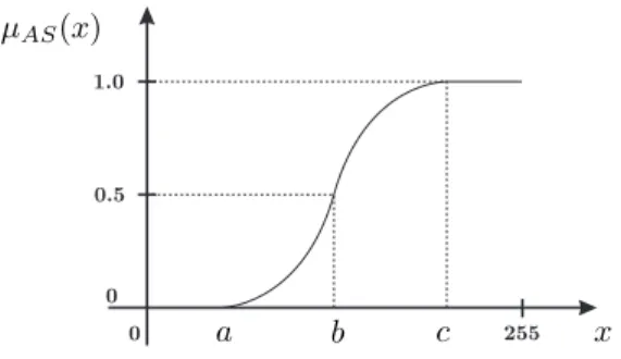Fig. 1. Typical shape of the S-function