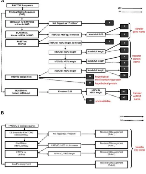 Figure 1. Annotation Pipelines for Transcript Description and for GO Terms