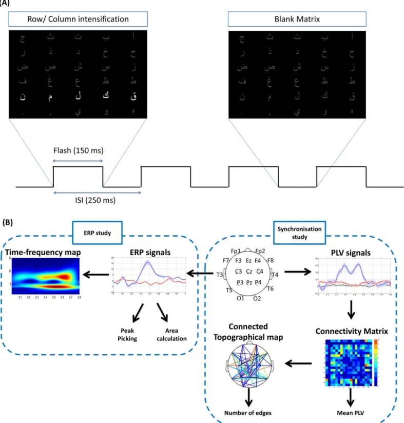 Fig 1. Paradigm design and the steps of analysis. (A) Paradigm design: The Arabic alphabets were presented on a screen