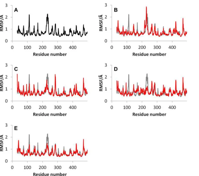 Fig 2. Root mean square fluctuations (RMSFs) for the wild type and mutants of CYP2D6. (A) CYP2D6.1, (B) CYP2D6.2, (C) CYP2D6.10, (D) CYP2D6.14A, (E) CYP2D6.62