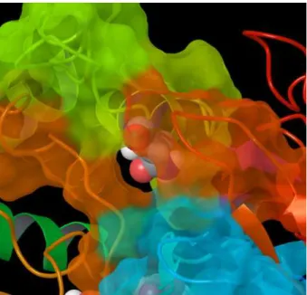 Fig 5 illustrates Asn225 located near the entrance of the substrate access channel in CYP2D6.2.