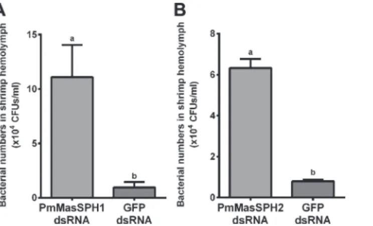 Fig 5. Increase in bacterial load in hemolymph from PmMasSPHs silenced shrimp. Shrimp were injected twice with dsRNA specific to PmMasSPH1 (A) or PmMasSPH2 (B)