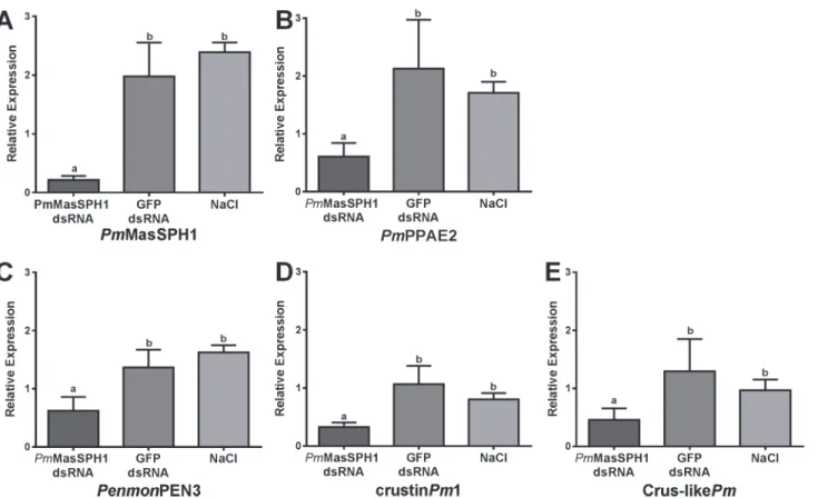 Fig 6. The effect of Pm MasSPH1 gene silencing on expression of other immune genes. Transcription levels of PmMasSPH1 (A), PmPPAE2 (B), PenmonPEN3 (C), crustinPm1 (D), and Crus-likePm (E) were analyzed in PmMasSPH1 silenced shrimp and control groups (GFP d
