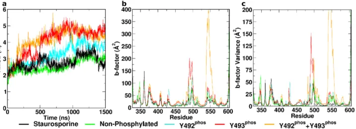 Fig 2. Conformational dynamics of ZAP – 70 kinase domain. (a) Cα RMSD, (b) B-factors over final 500 ns, and (c) B-factor variance over 10 sequential independent trajectory segments of all investigated systems