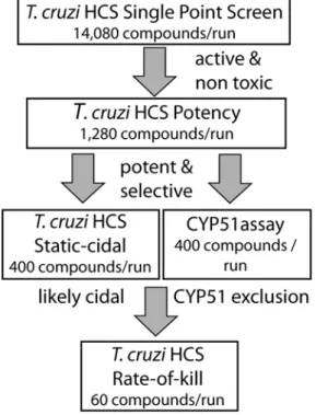 Fig 5. T . cruzi screening cascade. Schematic of T.cruzi screening cascade. Primary assay is the high- high-content intracellular amastigote assay at a single concentration