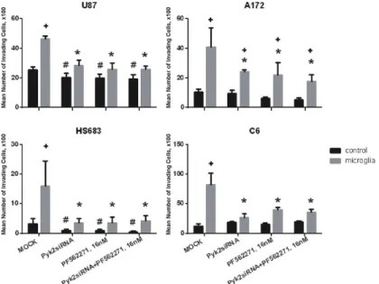 Fig 7. siRNA knock-down and/or pharmacological blockade of Pyk2 by PF-562,271 eliminates the stimulatory effect of microglia on glioma cell migration