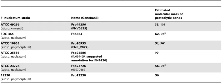 Table 1. Estimated molecular mass of F. nucleatum fusolisin detected in outer membrane vesicles or in growth medium.