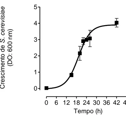 Figura  5  –  Crescimento  de  Saccharomyces  cerevisiae  a  28ºC  em  meio  YPD.  O  crescimento  foi  avaliado às 0, 15, 20, 22, 24, 26 e 42 horas após a incubação