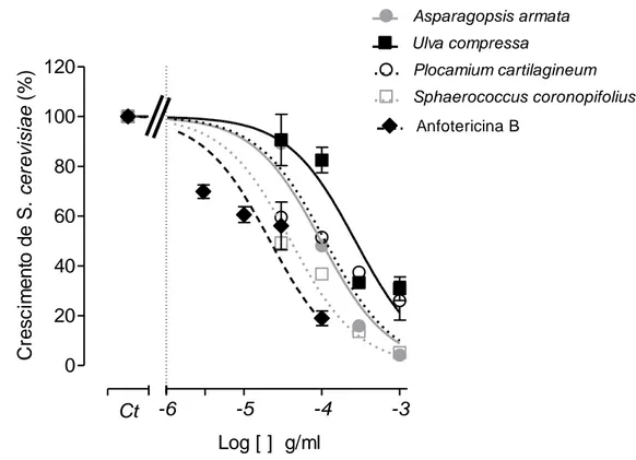 Figura 9 – Crescimento de S. cerevisiae 28ºC (20 horas) na presença do extracto da fracção do n- n-hexano,  das  algas  Asparagopsis  armata,  Sphaerococcus  coronopifolius,  Ulva  compressa  e  Plocamium  cartilagineum,  (30-1000  µg/ml)  e  Anfotericina 