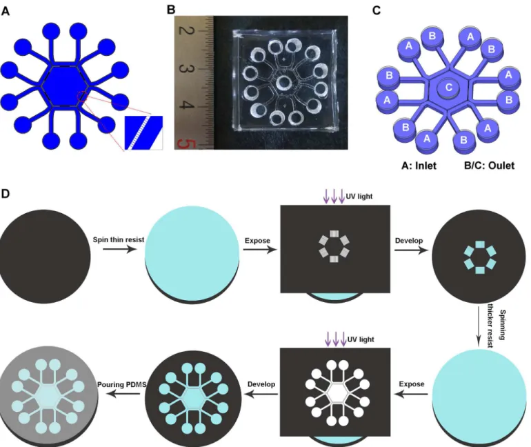 Fig 1. Design and fabrication of the microfluidic device. (A) Design of the microfluidic device