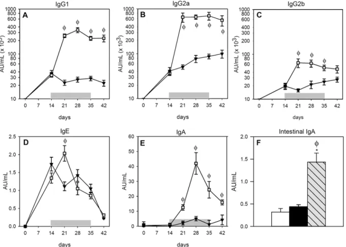 Fig 1. Concentrations of OVA-specific antibodies during post-immunization period. A) serum IgG1, B) serum IgG2a, C) serum IgG2b, D) serum IgE, E) serum IgA and F) intestinal IgA