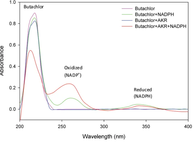 Fig 7. Absorption spectrograms showing degradation of butachlor by NADPH dependent AKR17A1