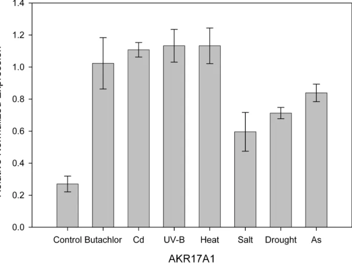 Fig 3. Relative normalized expression of AKR17A1 in Anabaena 7120 exposed to butachlor, cadmium, UV-B, heat, salt, drought and arsenic.