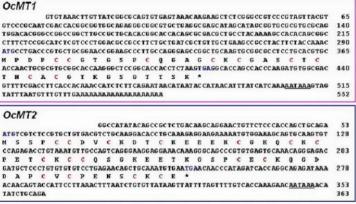 Figure 2. Multiple sequence alignments of the deduced amino acid sequences of OcMT1 and OcMT2 with other known homologues species using the GeneDoc software