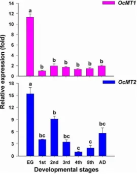 Figure 4. Analysis of stage-dependent expressions of OcMT1 and OcMT2 in O. chinensis by RT-qPCR