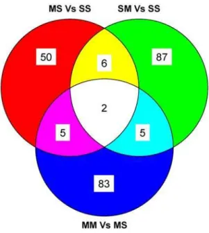 Figure 3. METH preconditioning reconditions midbrain tran- tran-scriptional responses to METH binge challenges