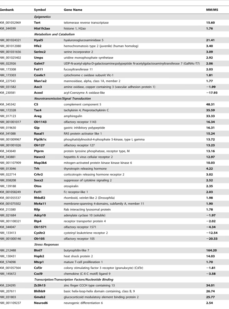 Table 3. METH challenge-induced gene expression in the presence of METH preconditioning.