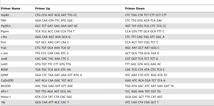 Table 3. Cont.