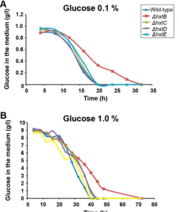 Table 3. Plasmids and A. nidulans and S. cerevisiae strains used in this work.