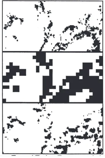 Figure 8 shows the coverage errors for the duration of the test storm. The quantities plotted are the mean over 100 realisations of the mean and variance over all grid-squares of the rainfall field of the difference between the true coverage of these squar